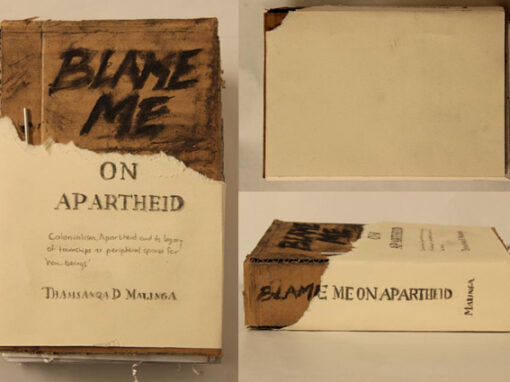 Blame Me on Apartheid