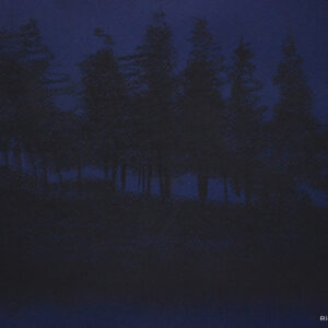 Kaapsehoop Pine Forest
